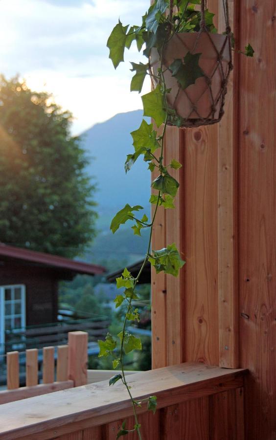 Haus Am Salz Mit Sauna Bad Ischl Exteriör bild